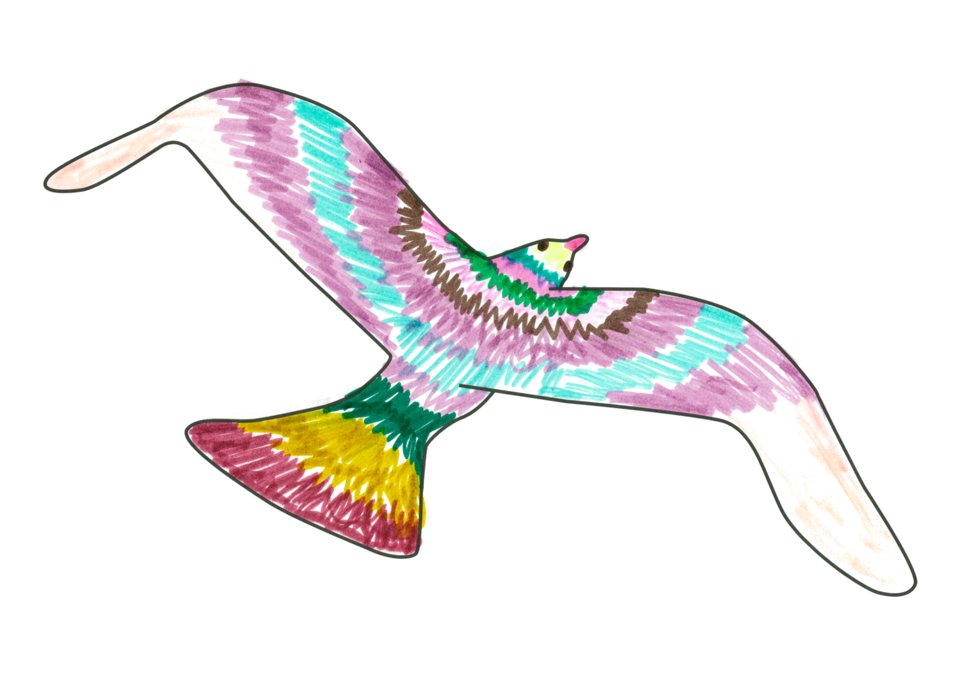 07576 自由飛翔的天氣鳥