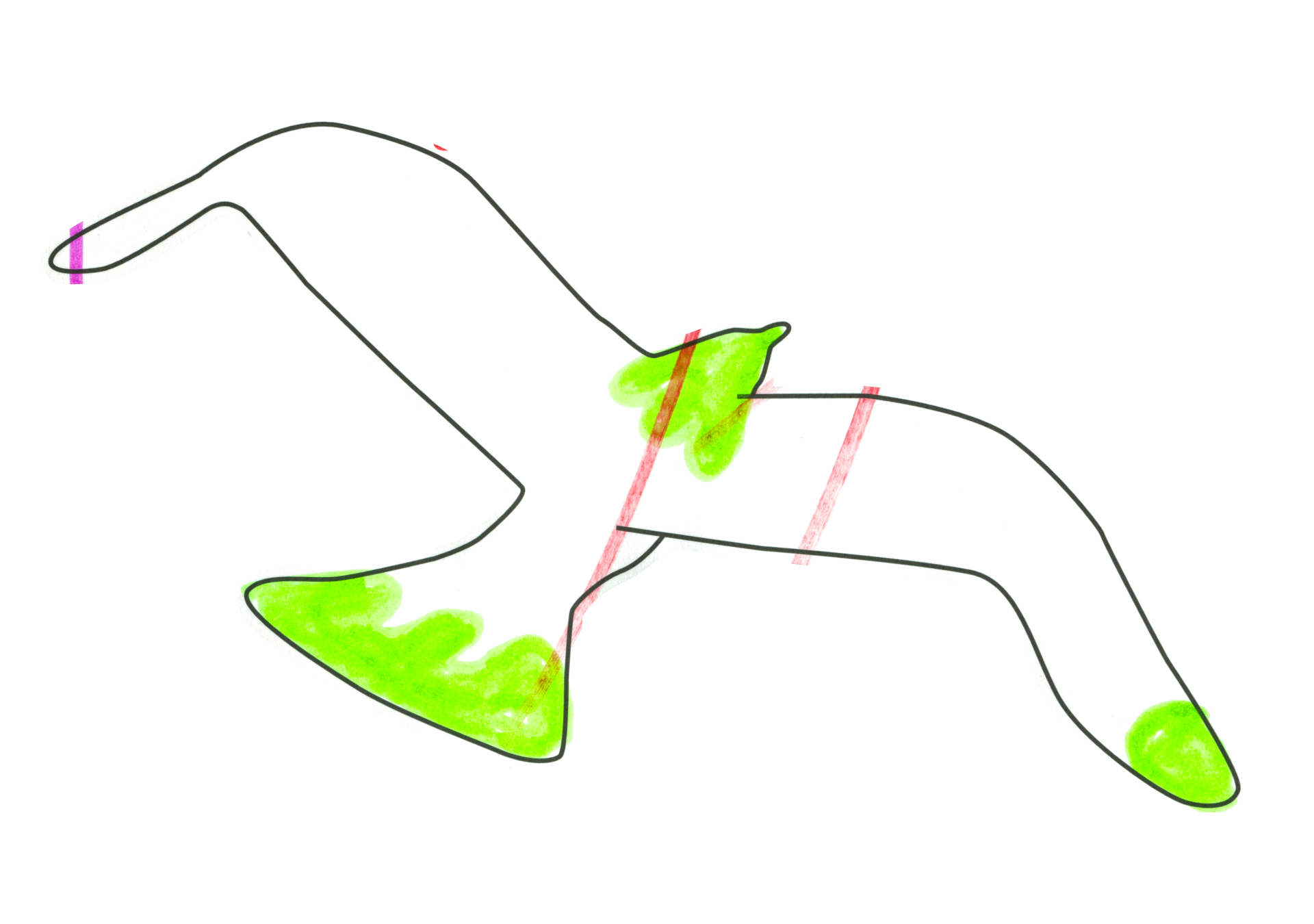 07593 自由飛翔的天氣鳥