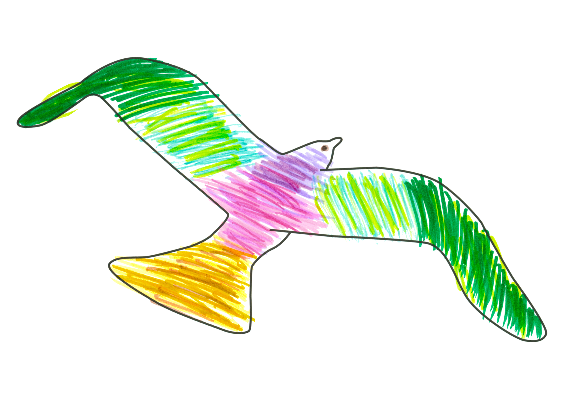 自由飛翔的天氣鳥