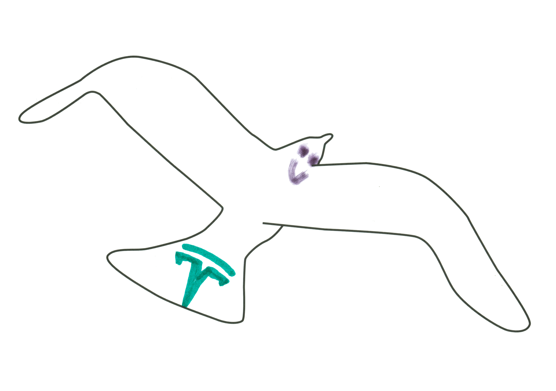 07667 自由飛翔的天氣鳥