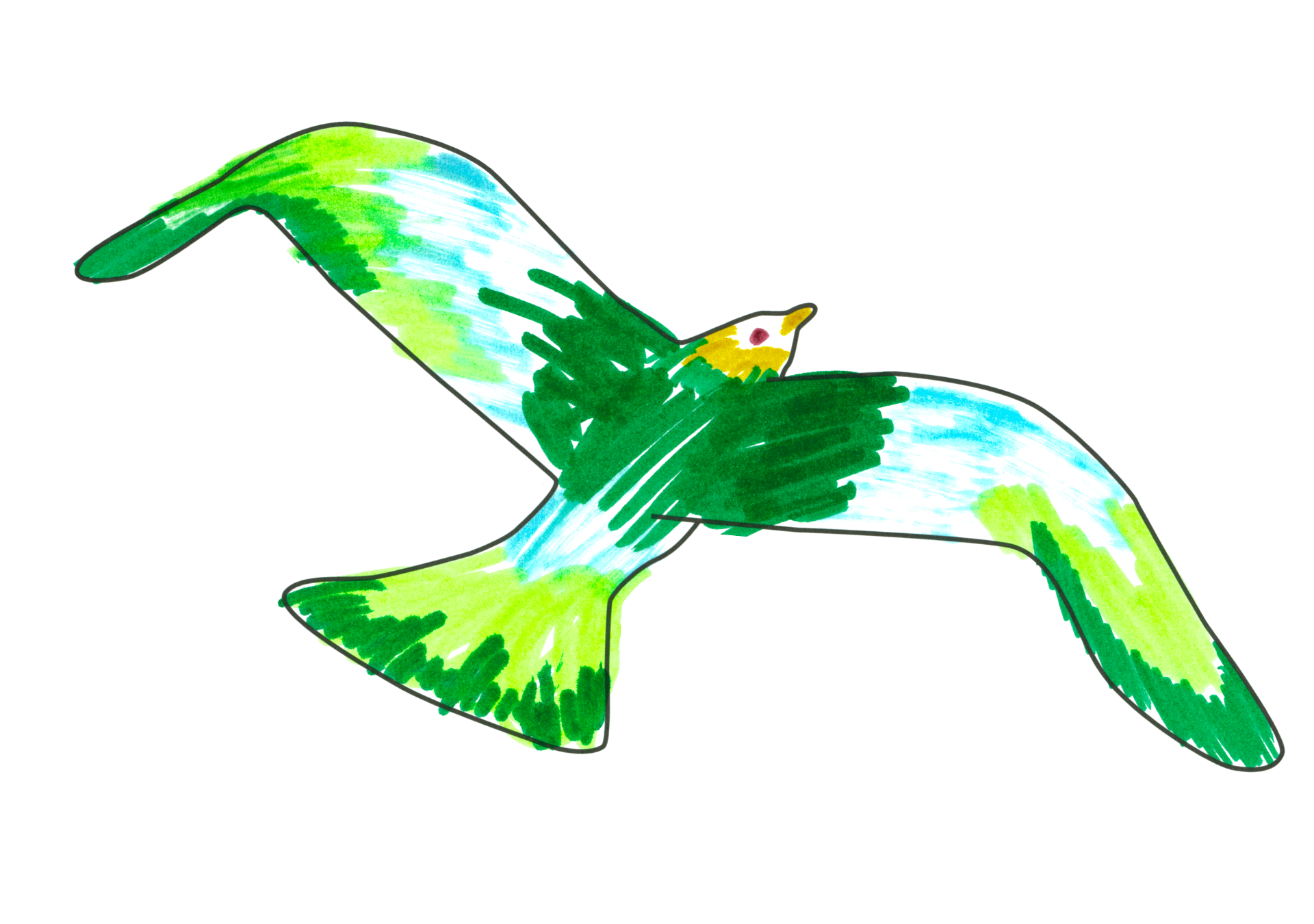 07682 自由飛翔的天氣鳥