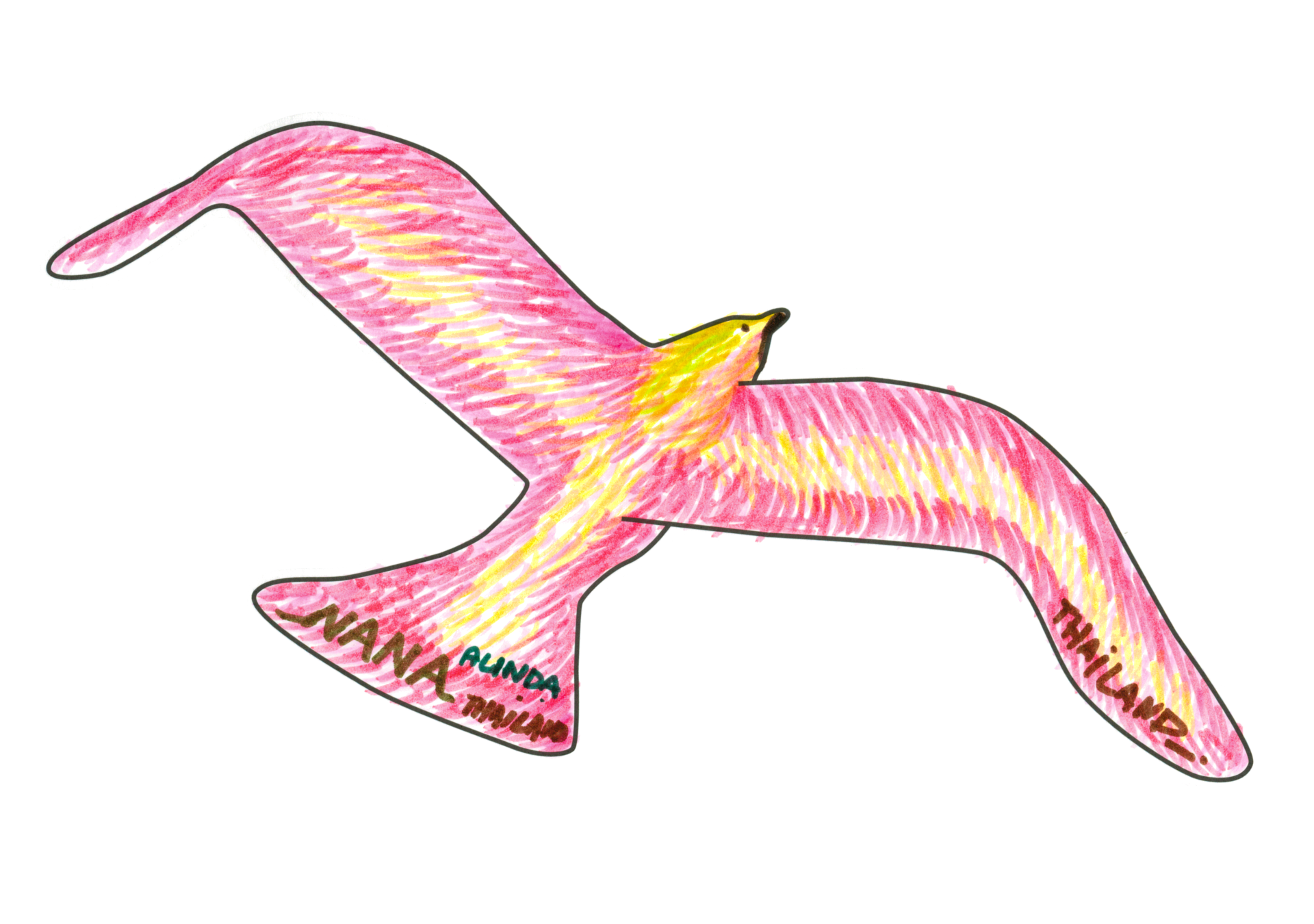 07699 自由飛翔的天氣鳥