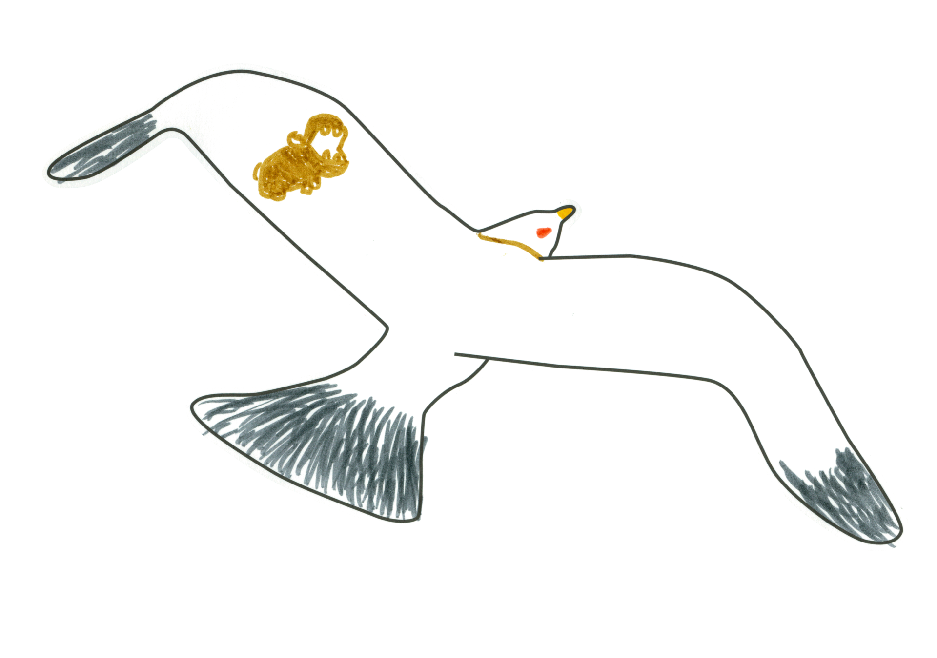 07706 自由飛翔的天氣鳥