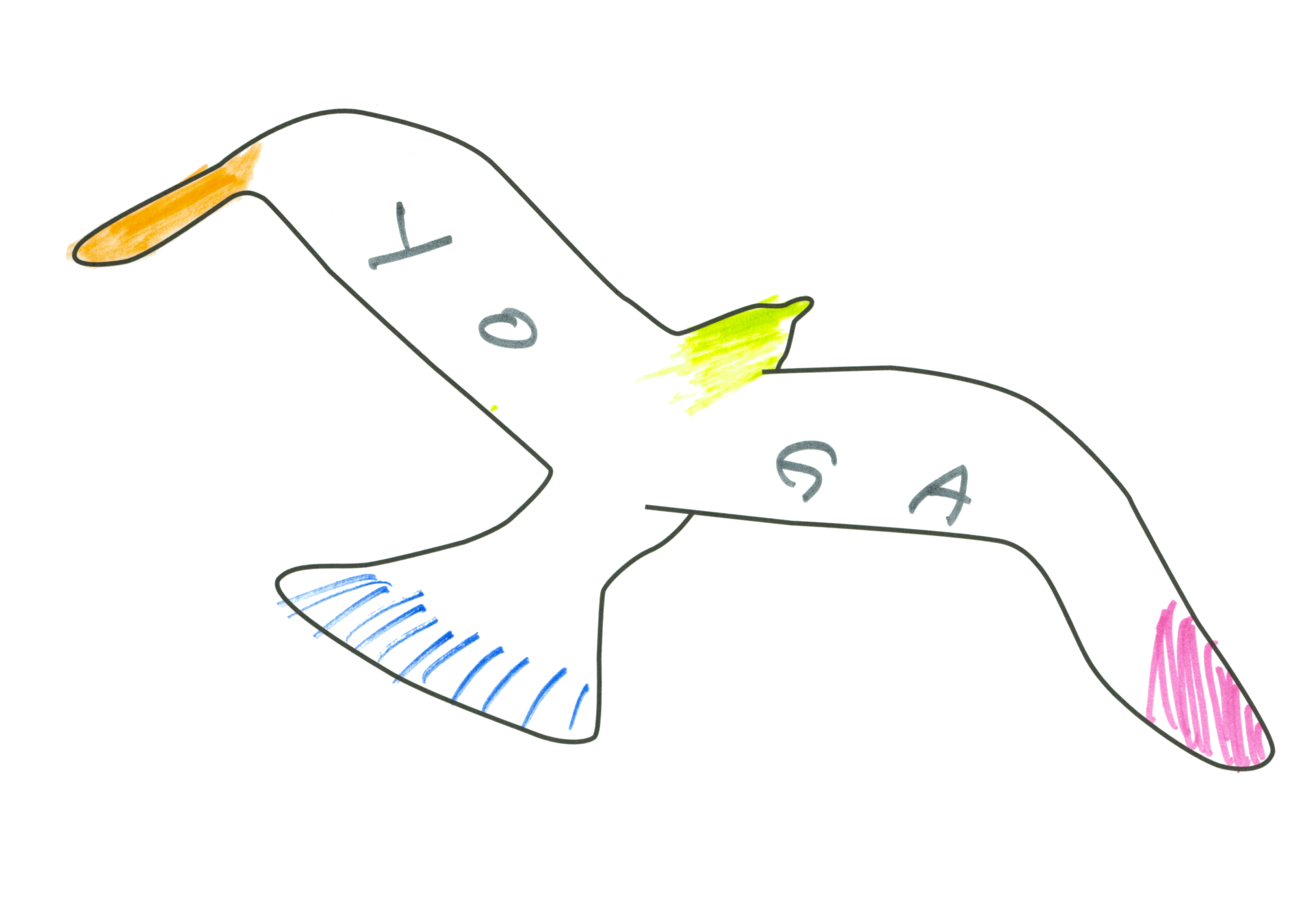 07742 自由飛翔的天氣鳥