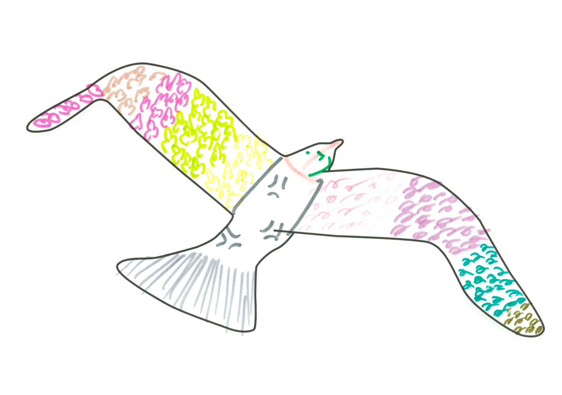 07796 自由飛翔的天氣鳥