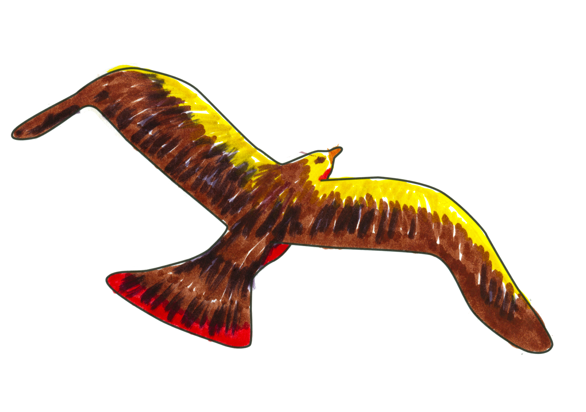 07979 自由飛翔的天氣鳥
