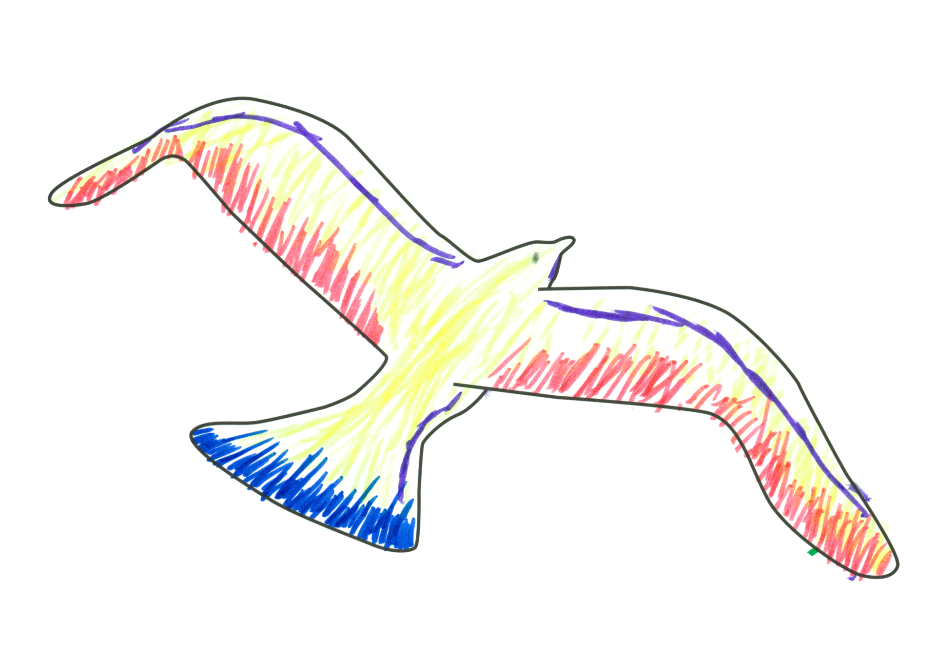 07980 自由飛翔的天氣鳥