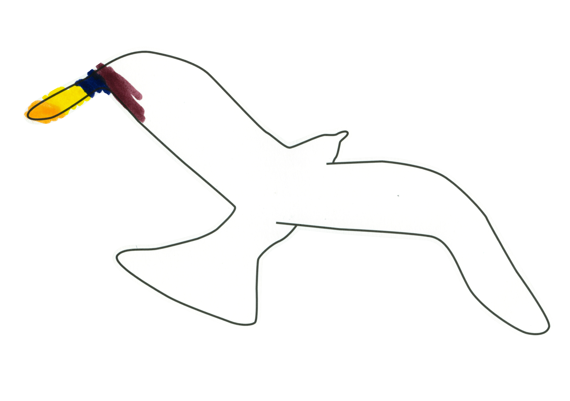 自由飛翔的天氣鳥